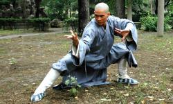 Maestrii Shaolin